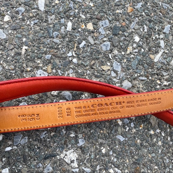 Coach belt 3/4” - Picture 3 of 3